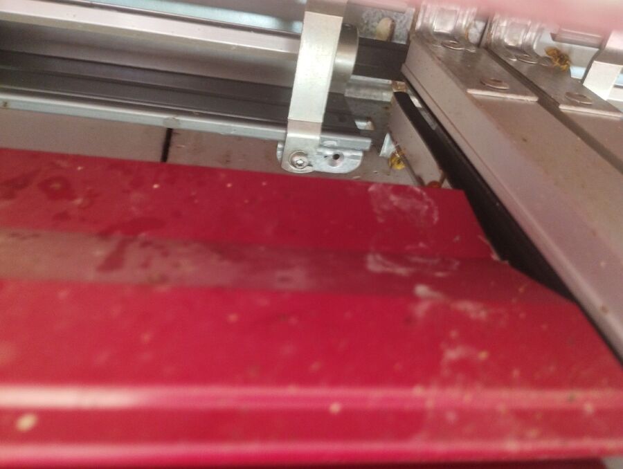 wespennest_entfernen