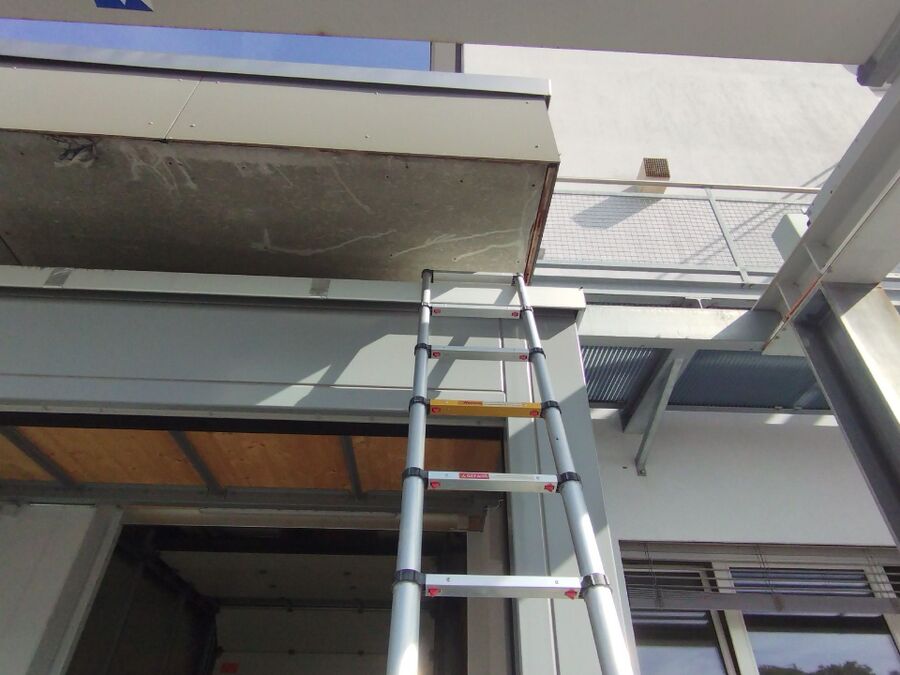 wespennest_entfernen