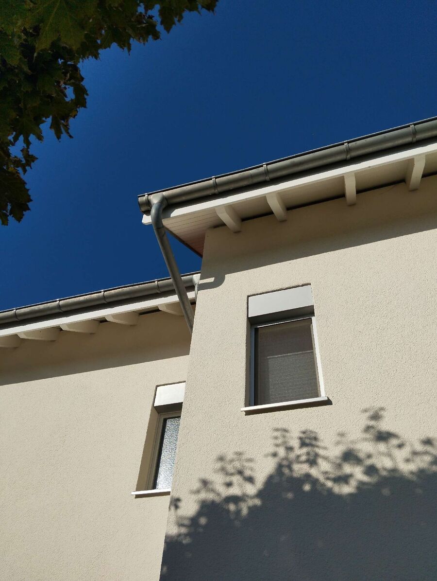 wespennest_entfernen