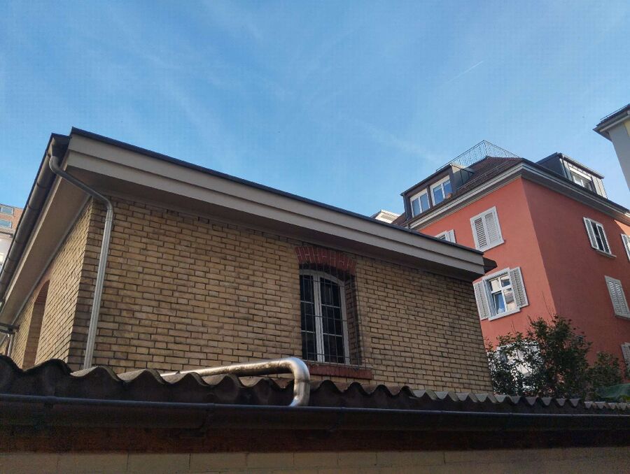 wespennest_entfernen