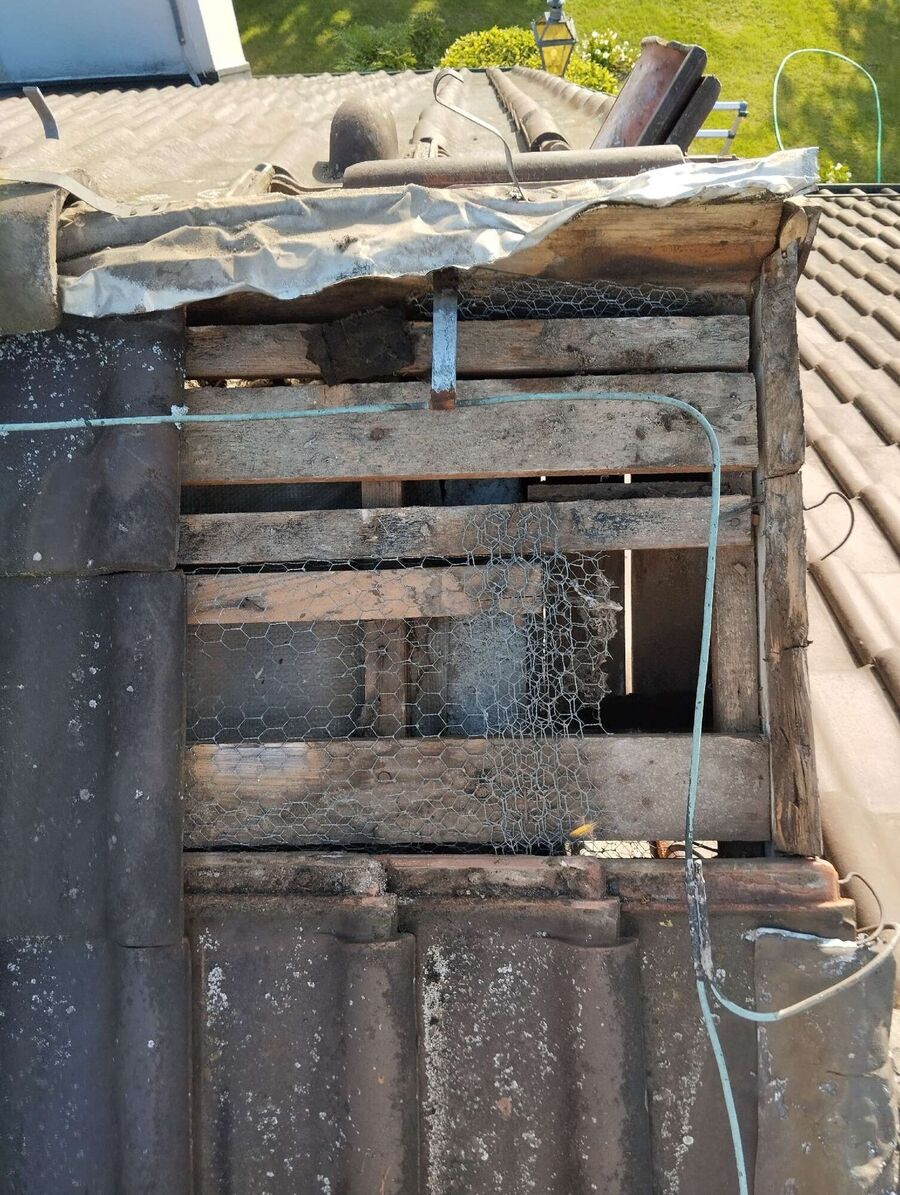 wespennest_entfernen