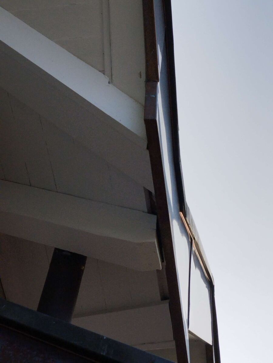 wespennest_entfernen