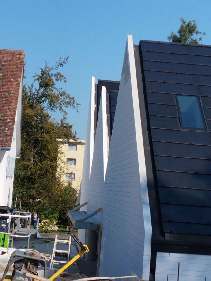 wespennest_entfernen