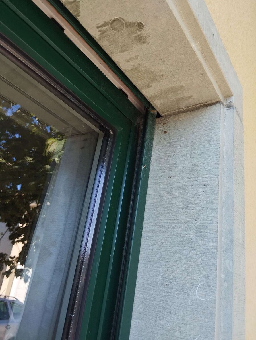 wespennest_entfernen