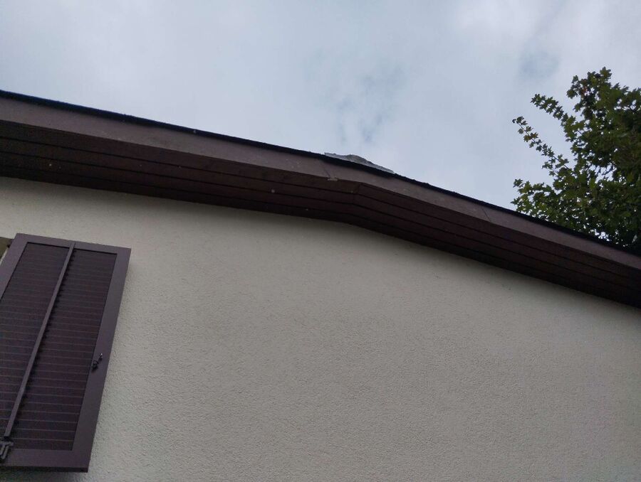 wespennest_entfernen