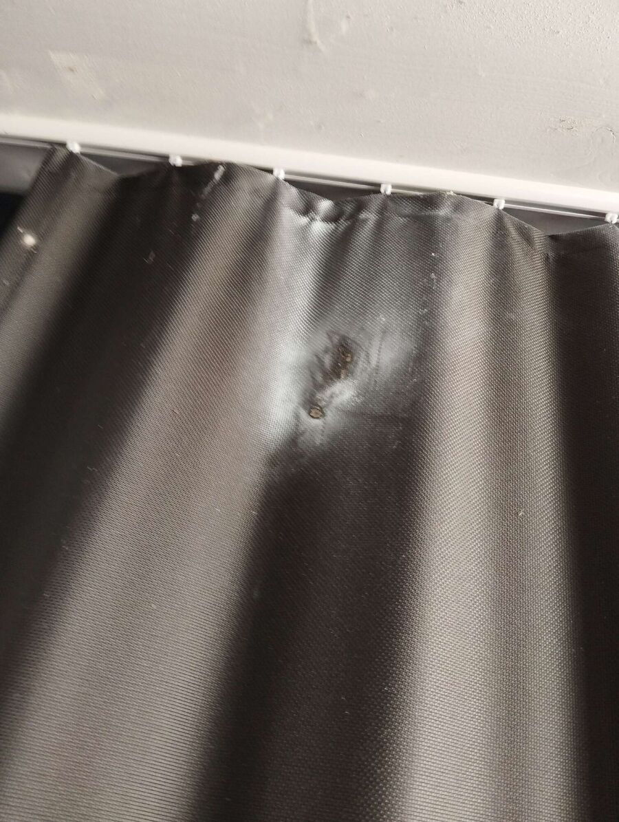 wespennest_entfernen