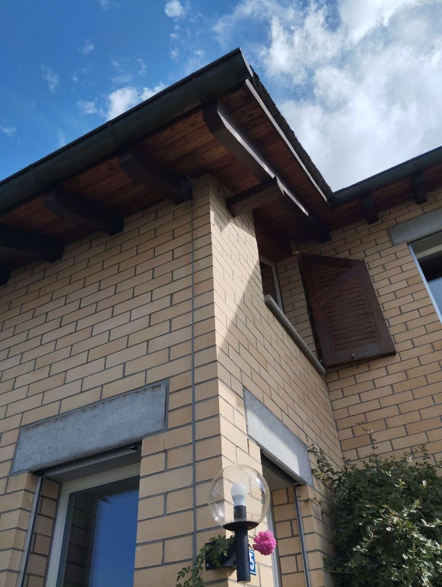 wespennest_entfernen