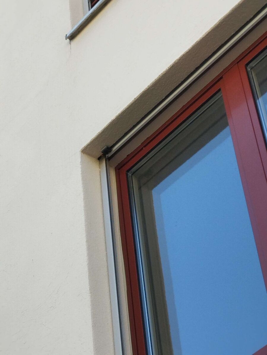 wespennest_entfernen