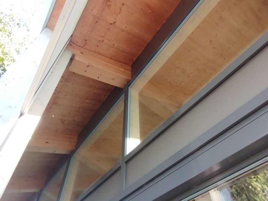 wespennest_entfernen