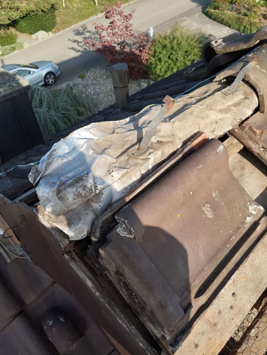 wespennest_entfernen