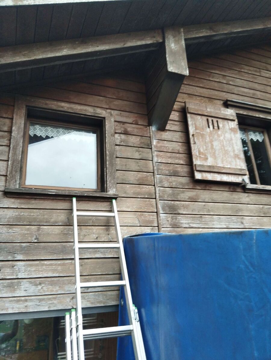 wespennest_entfernen