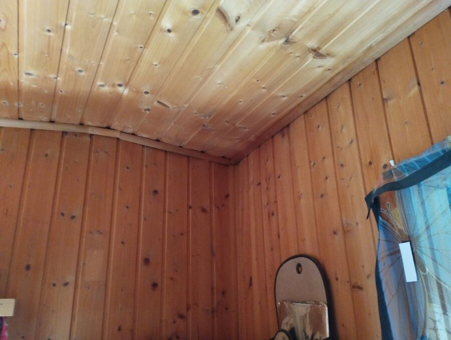 wespennest_entfernen