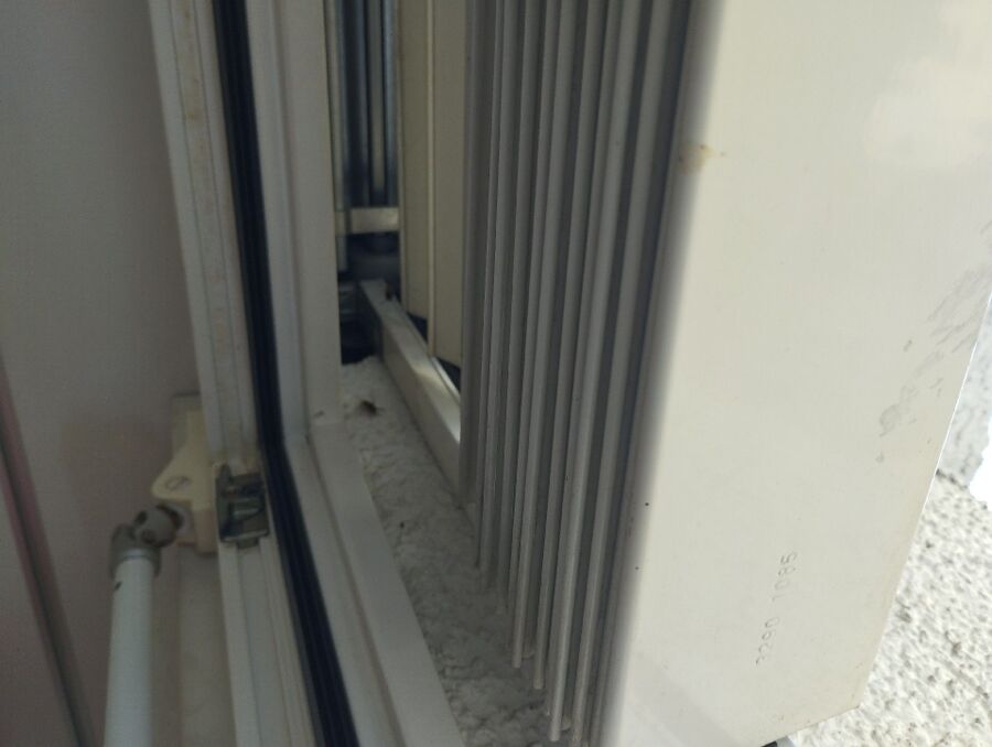 wespennest_entfernen