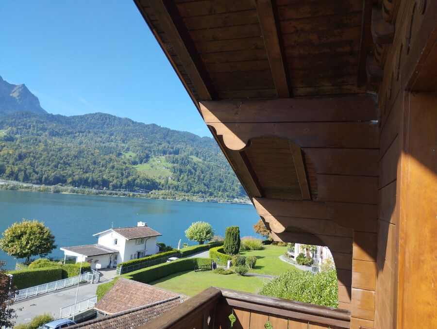 wespennest_entfernen