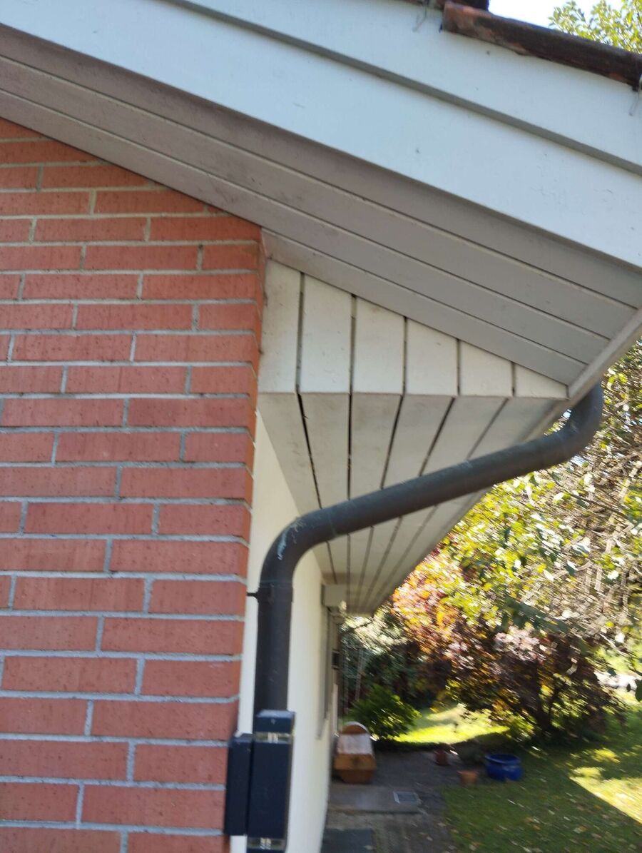 wespennest_entfernen