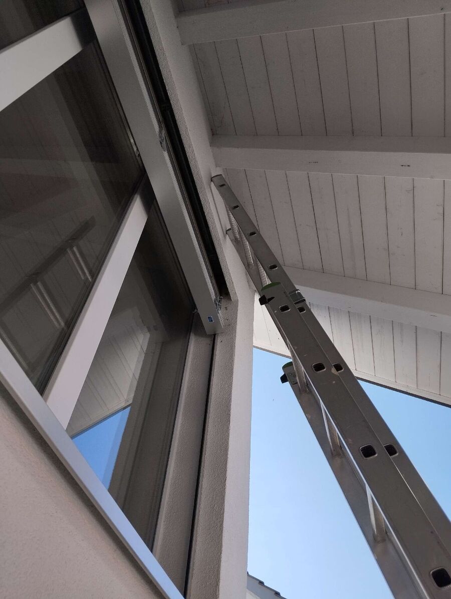 wespennest_entfernen