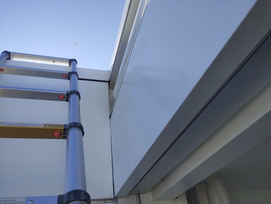 wespennest_entfernen