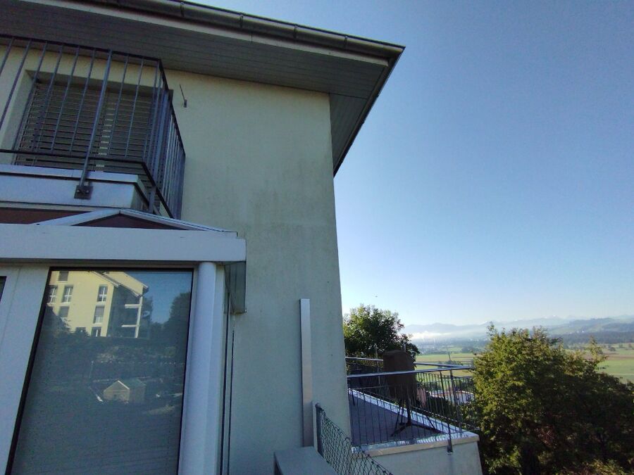 wespennest_entfernen