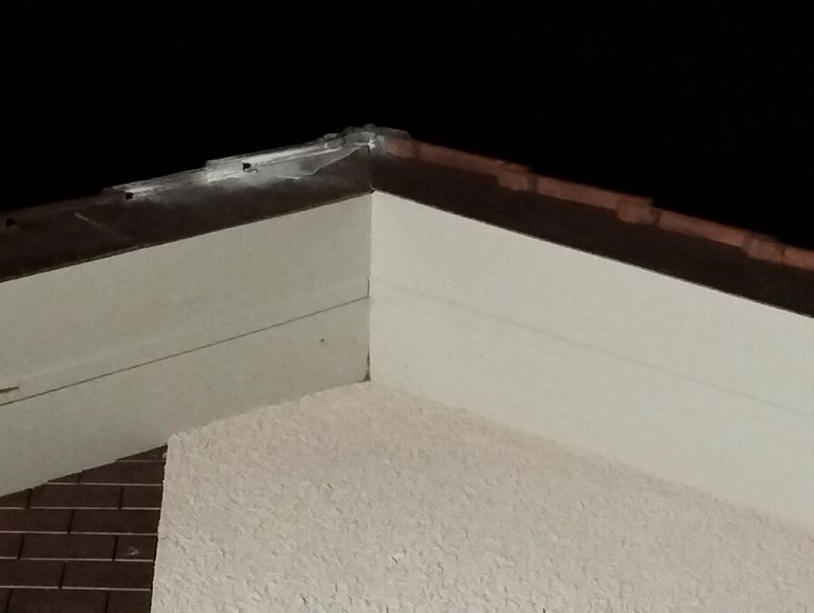 wespennest_entfernen