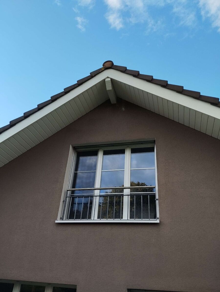 wespennest_entfernen