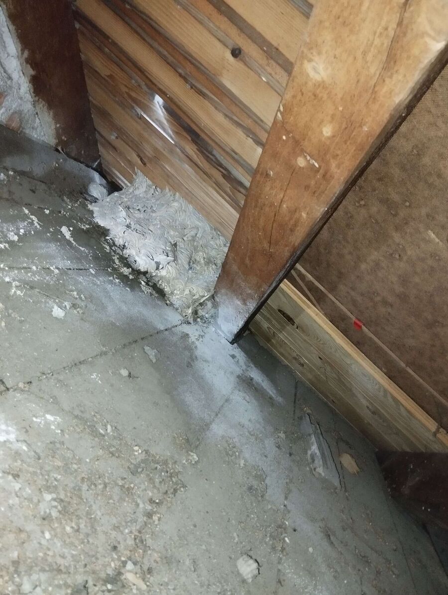 wespennest_entfernen