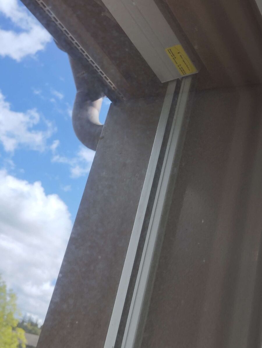 wespennest_entfernen