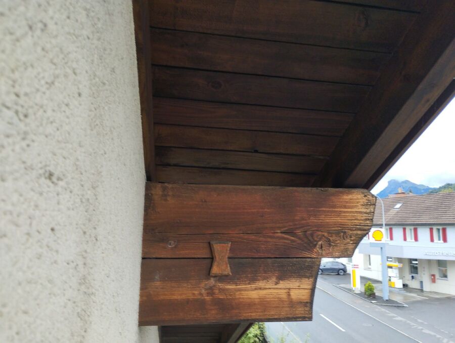 wespennest_entfernen