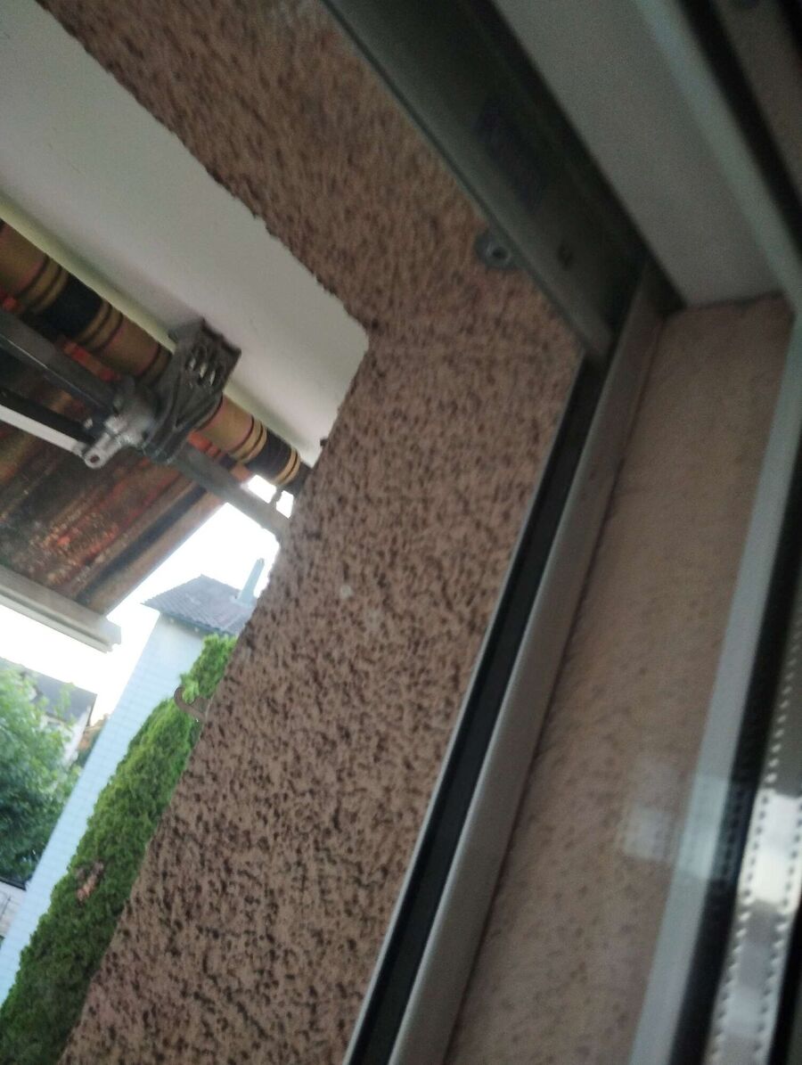 wespennest_entfernen