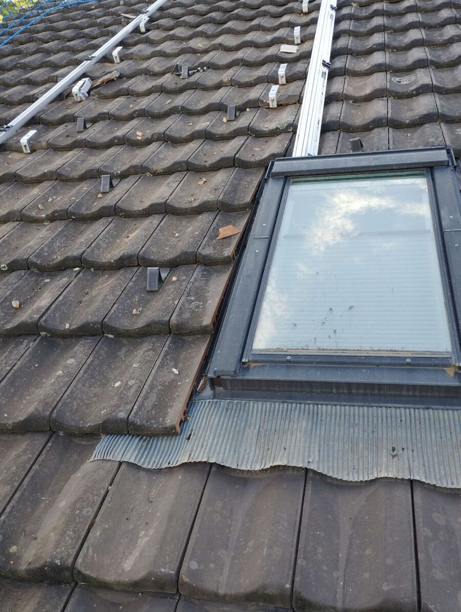 wespennest_entfernen