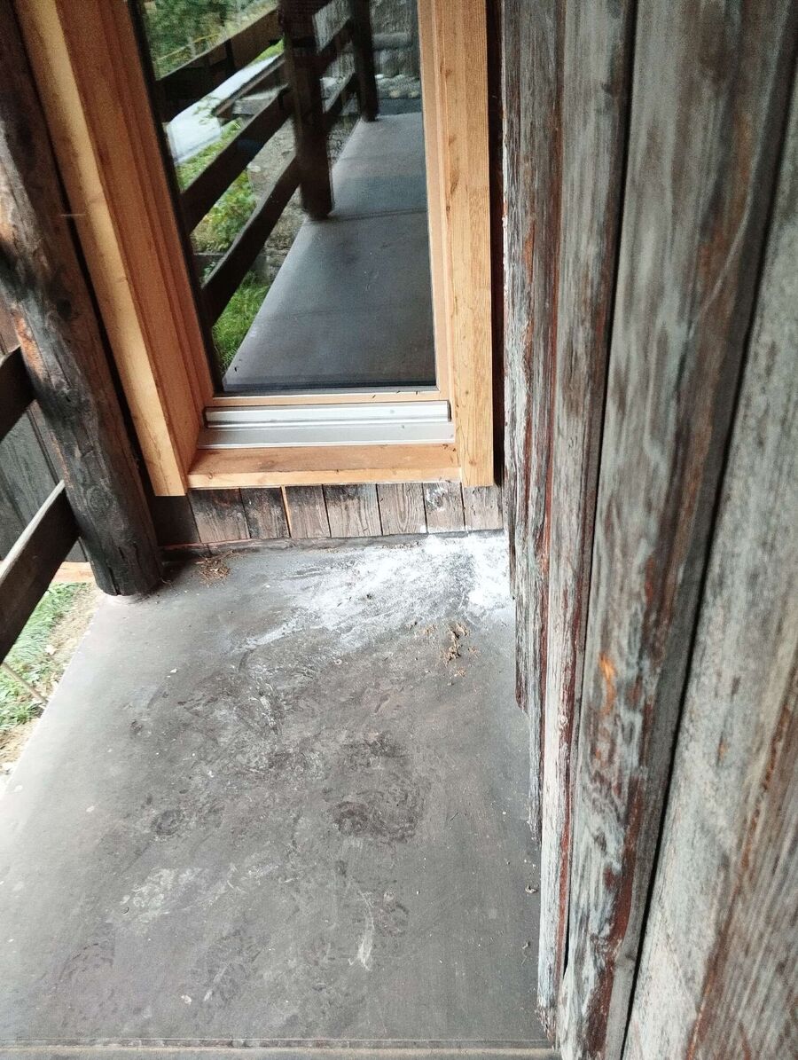 wespennest_entfernen