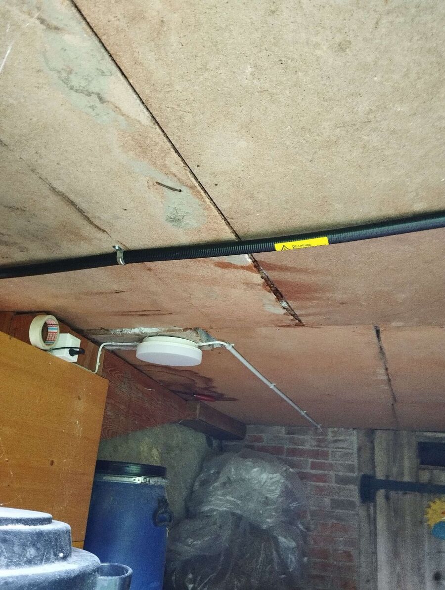 wespennest_entfernen