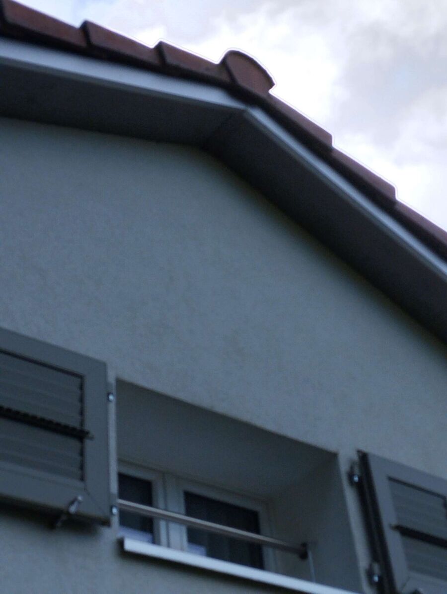 wespennest_entfernen