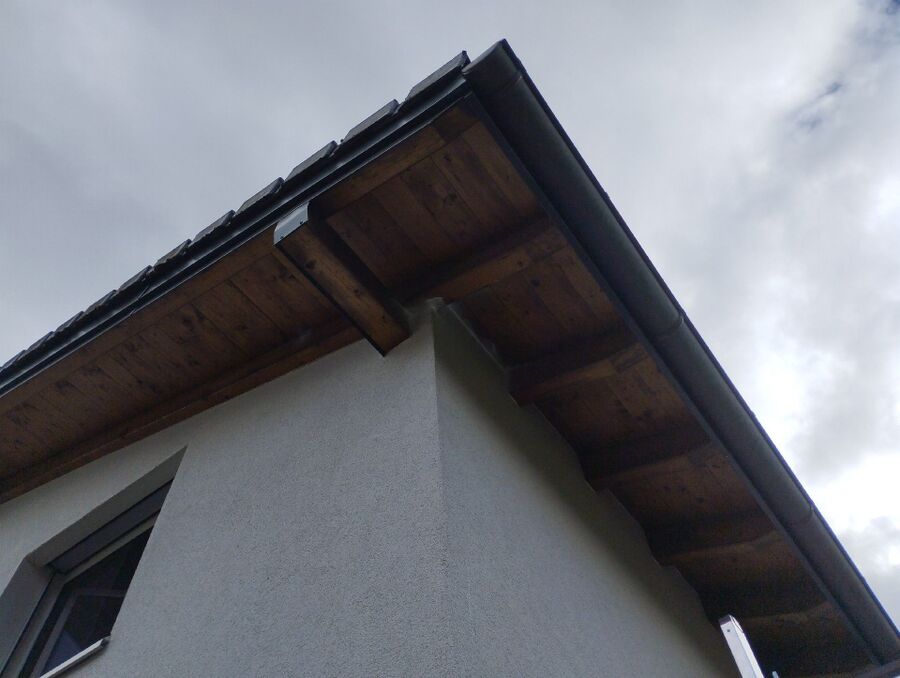 wespennest_entfernen