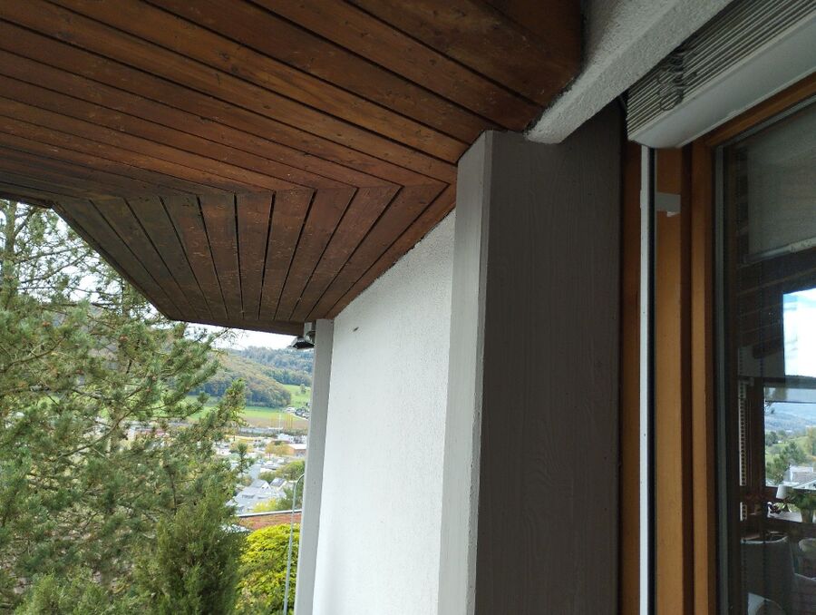 wespennest_entfernen