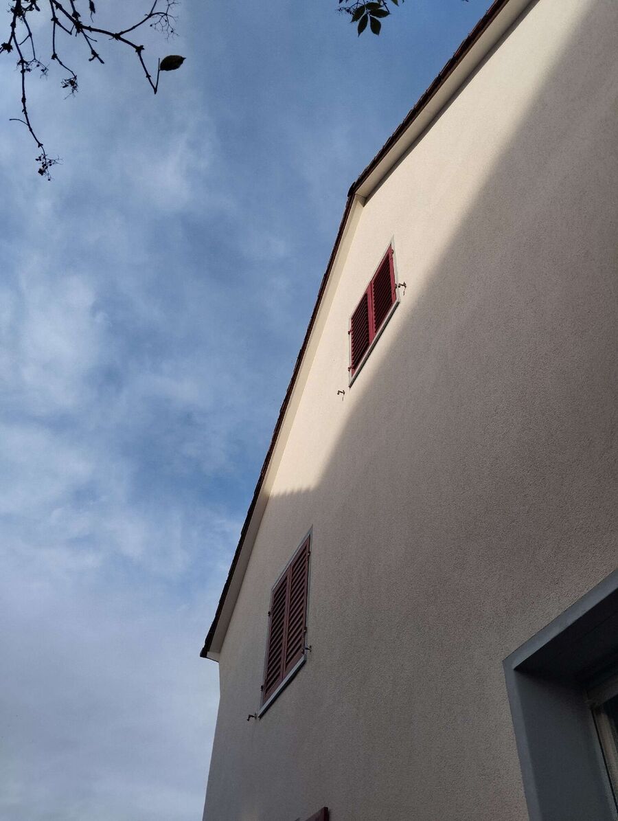 wespennest_entfernen