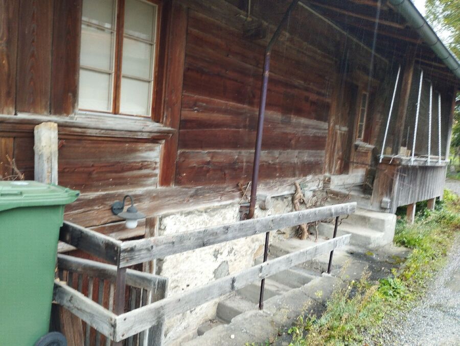 wespennest_entfernen