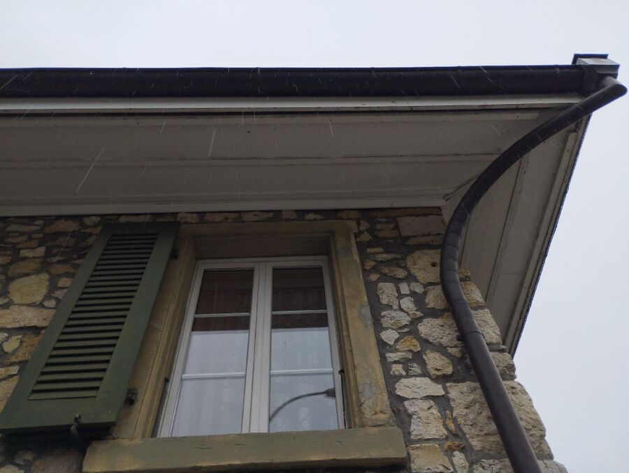 wespennest_entfernen