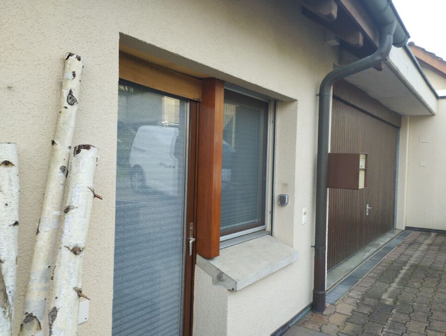 wespennest_entfernen