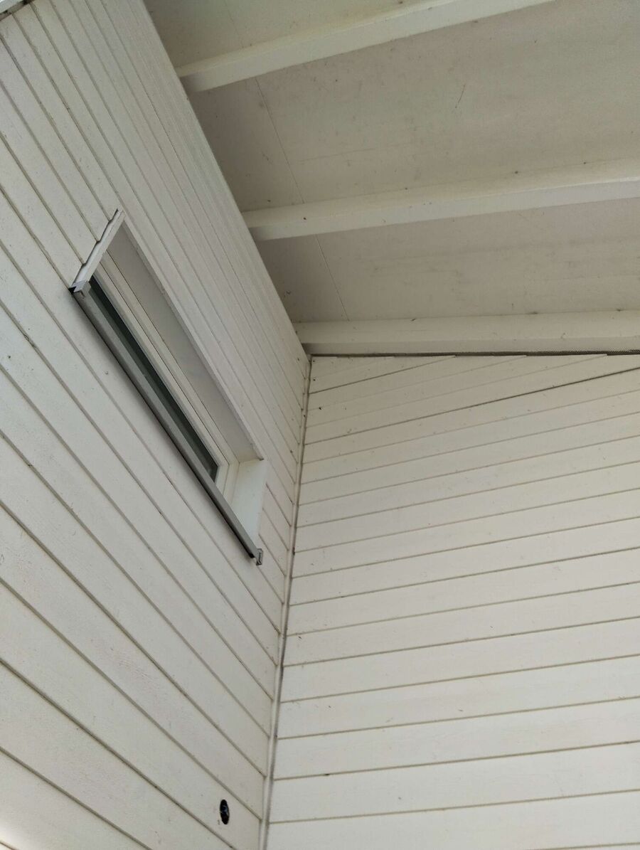 wespennest_entfernen