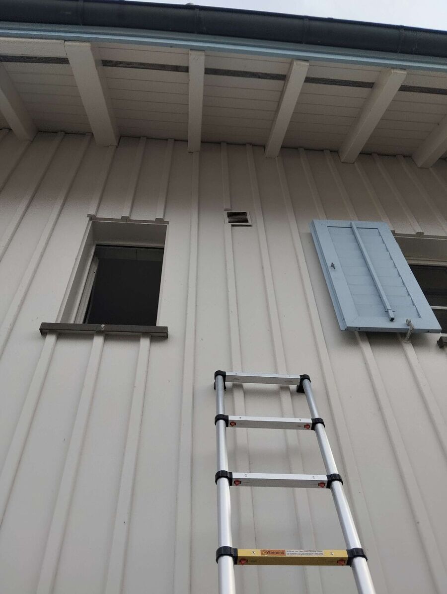 wespennest_entfernen