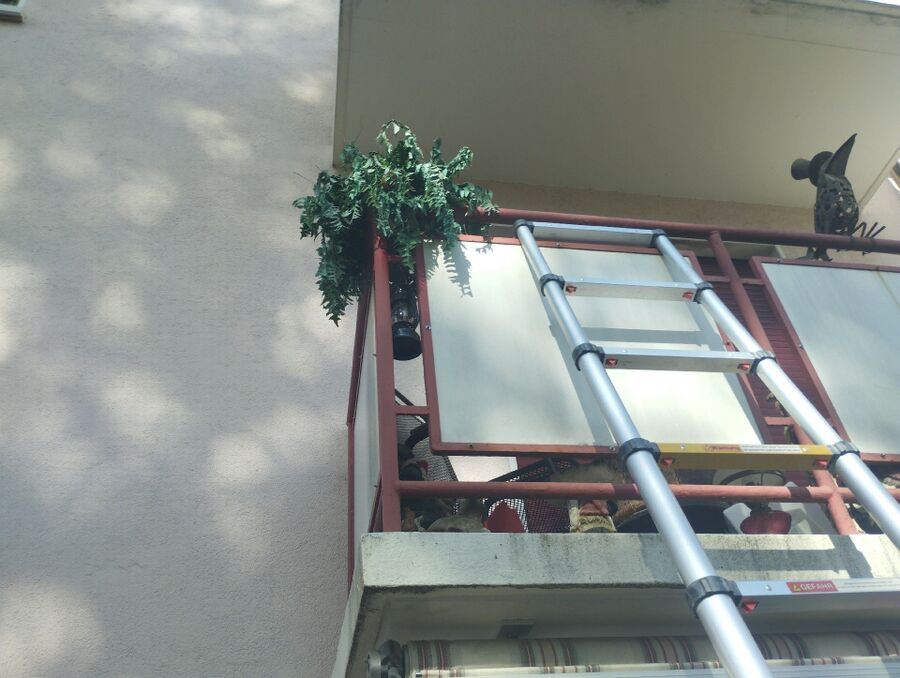 wespennest_entfernen