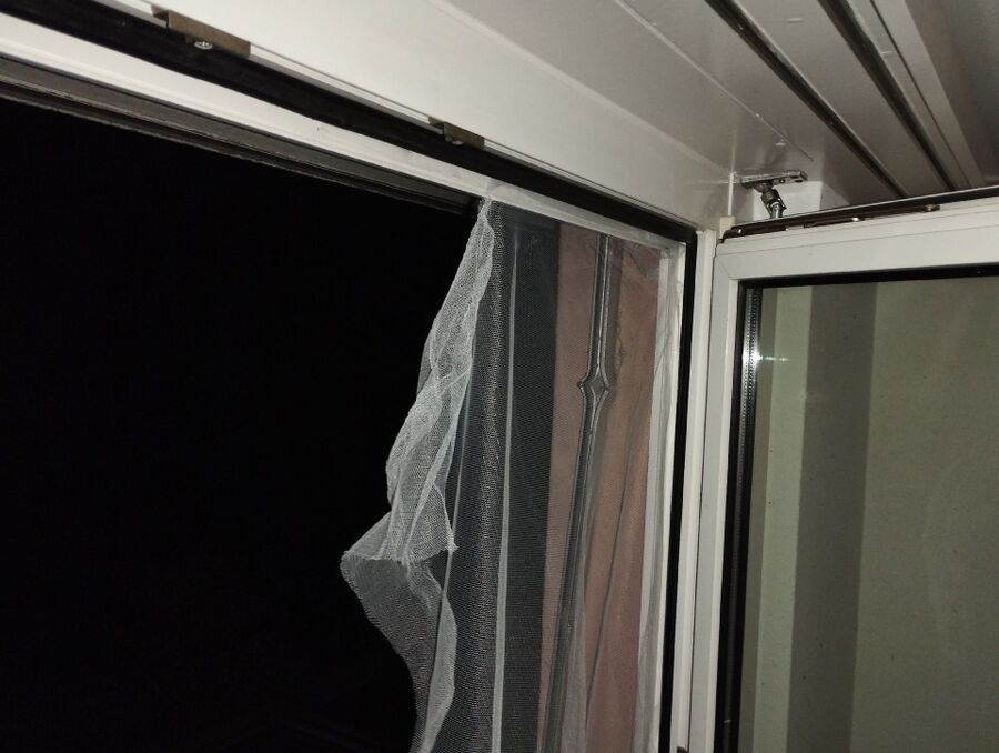 wespennest_entfernen