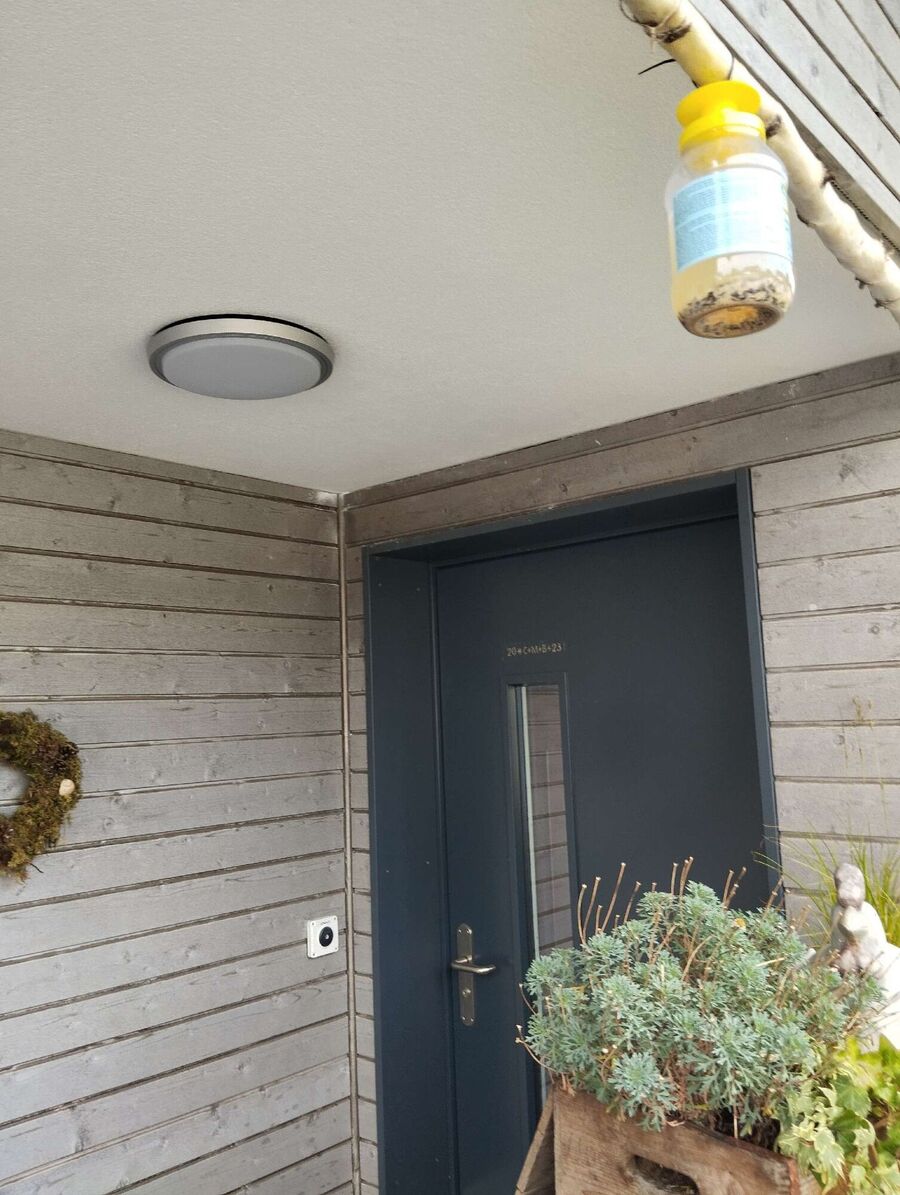 wespennest_entfernen