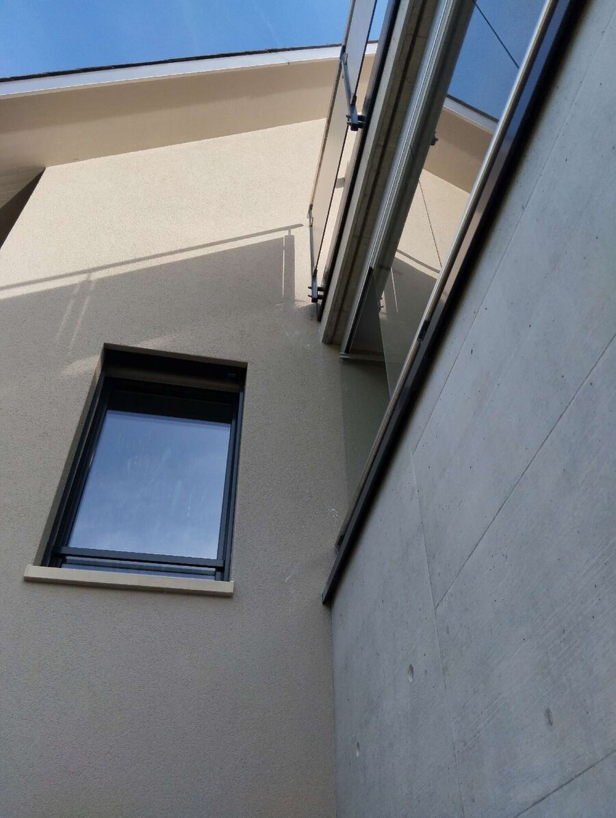 wespennest_entfernen