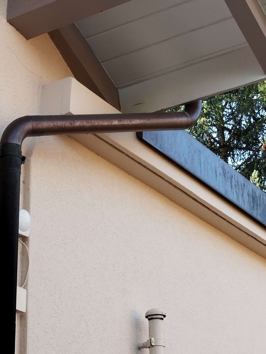 wespennest_entfernen