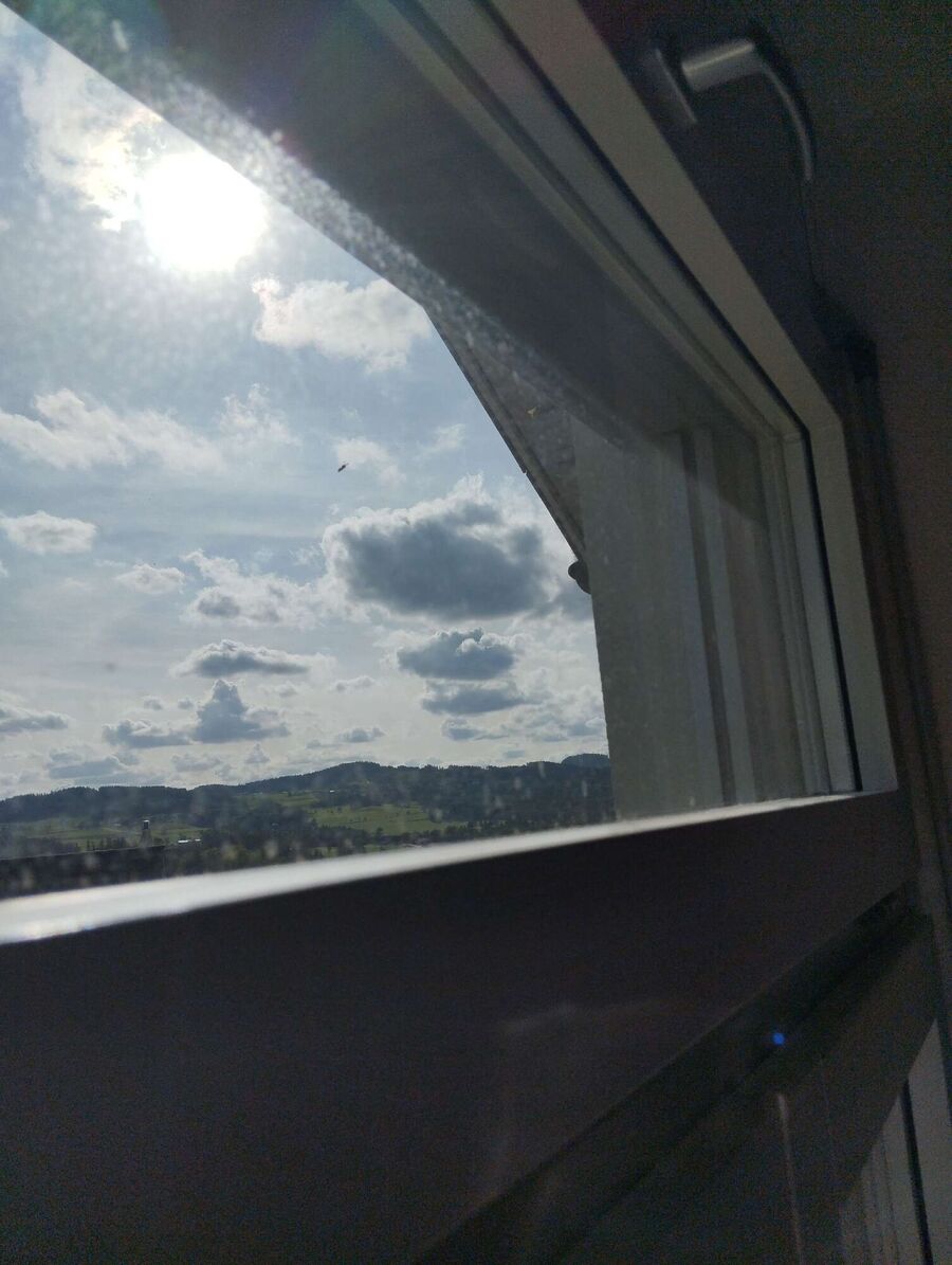 wespennest_entfernen