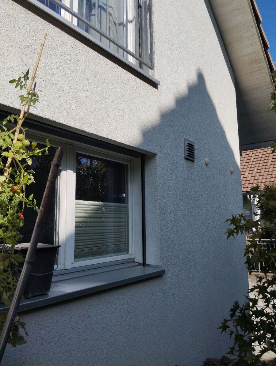 wespennest_entfernen