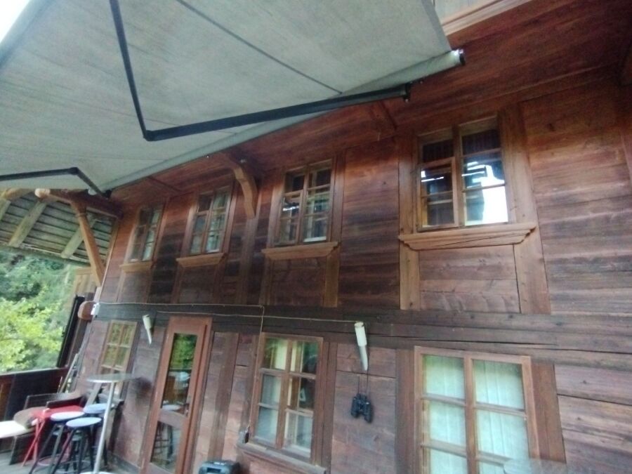 wespennest_entfernen