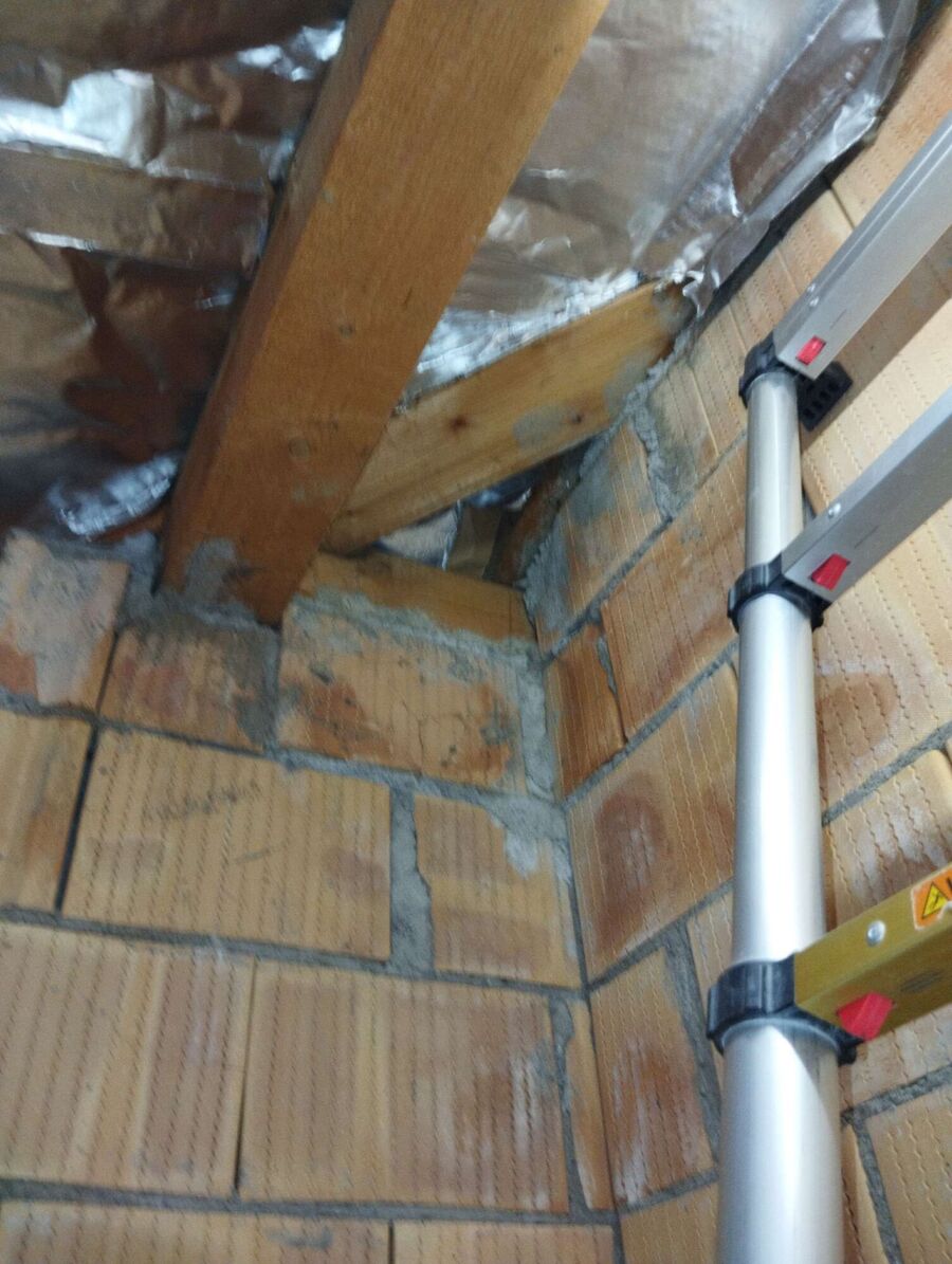 wespennest_entfernen