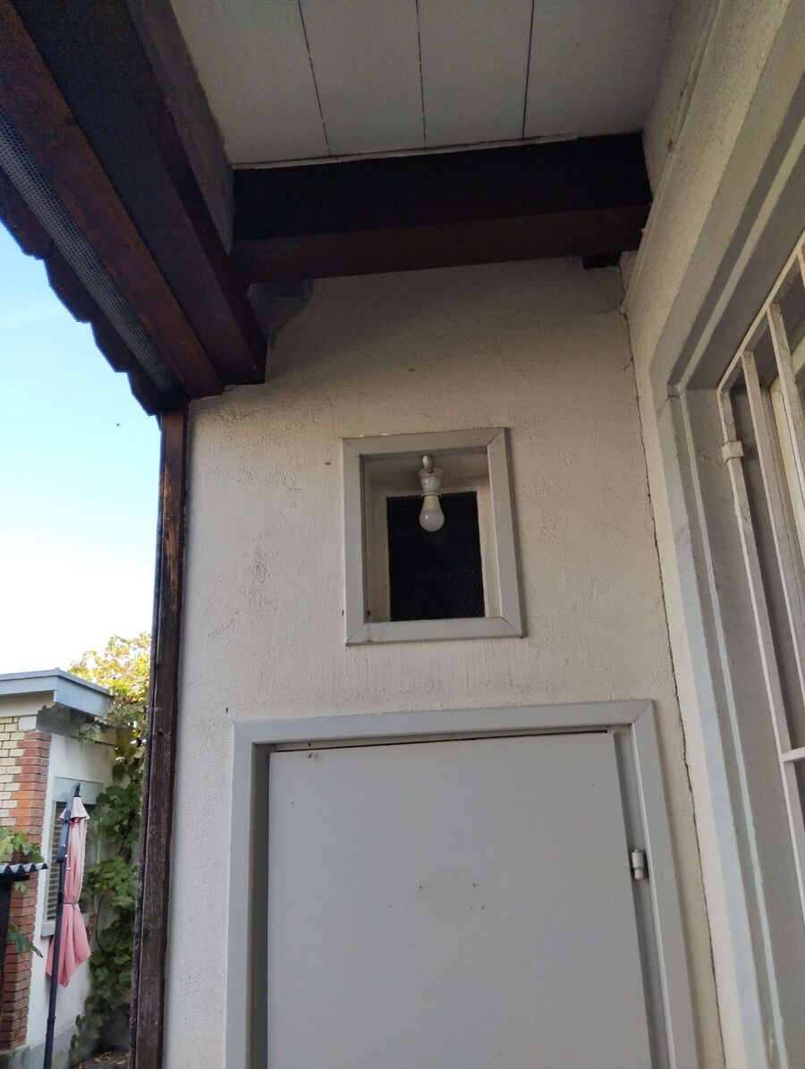 wespennest_entfernen